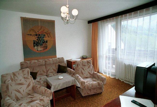Hotel Petr Bezruc Frydlant nad Ostravici Bilik gambar