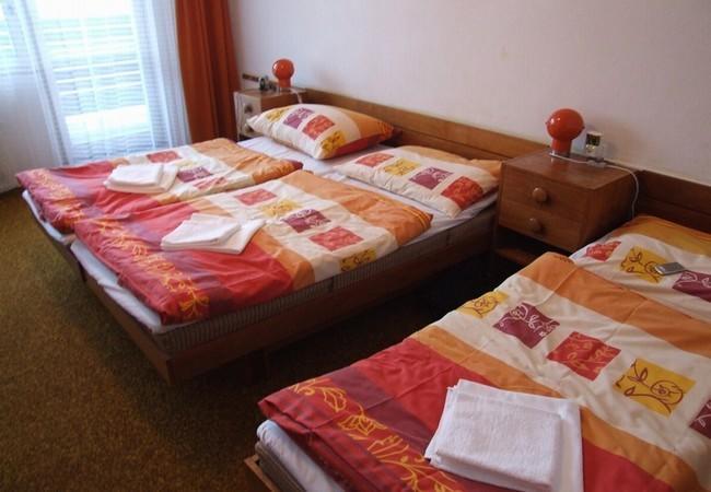 Hotel Petr Bezruc Frydlant nad Ostravici Bilik gambar